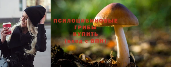 мдпв Покачи